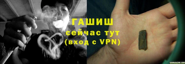 прущий лед Бородино