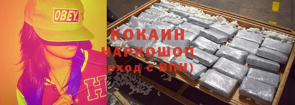 прущий лед Бородино