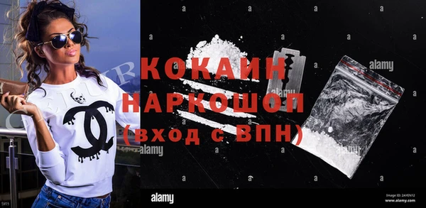 стафф Арсеньев